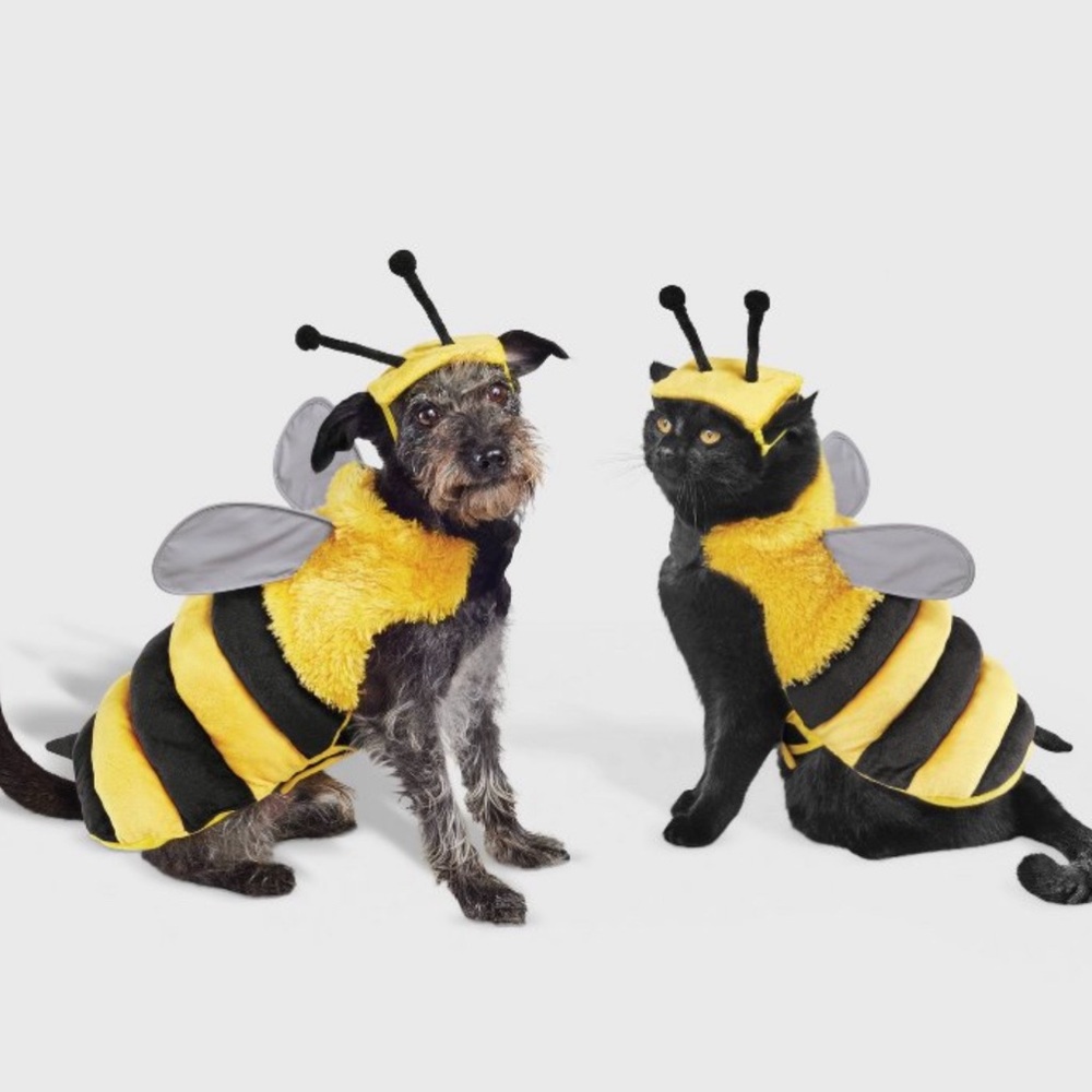 Pet Bumblebee Costume Set